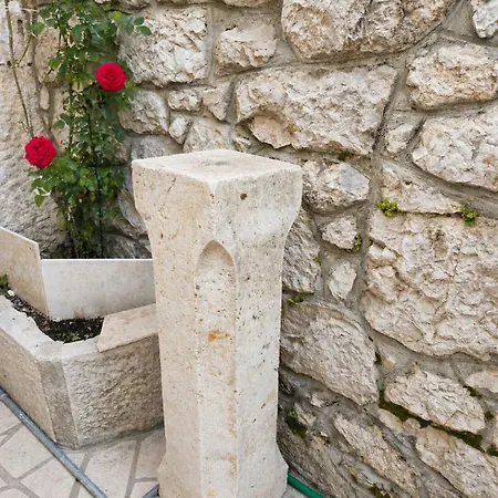 فيلة Adria House